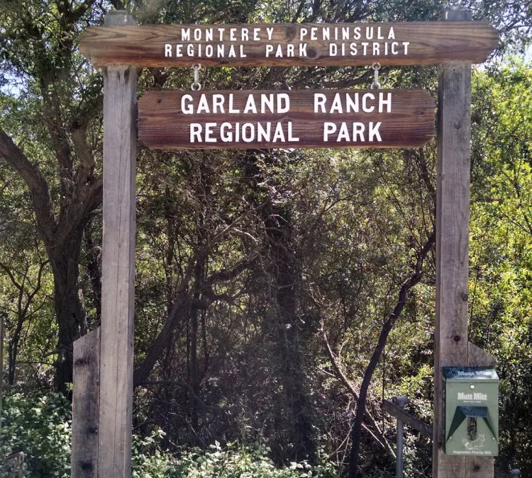Garland Ranch Regional Park (Carmel&nbspValley,&nbspCA)